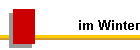 im Winter